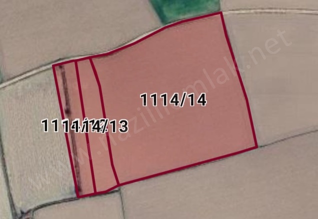 Sümer Mah. Nazilli Satılık Tarla |  31750M2 12.500.000Tl Resim-1