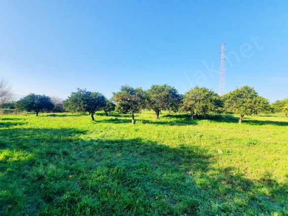 Beşeylül Mah. Kuyucak Satılık Bahçe |  4900M2 4.250.000Tl Resim-5