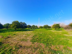 Kuyucak Beşeylül Mah. Satılık Bahçe 4900 M2