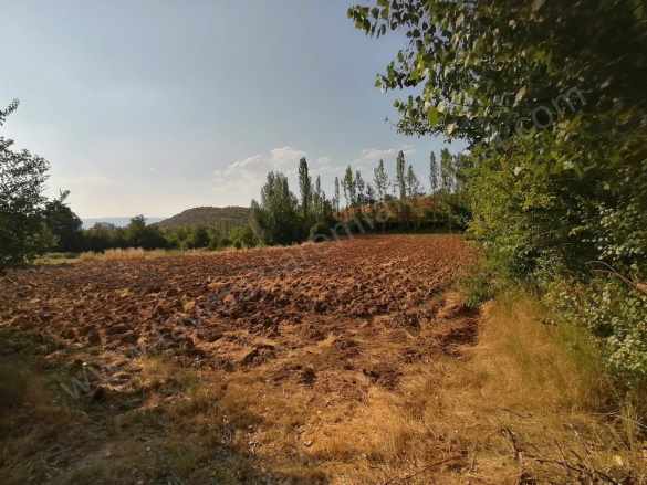 Su Kanalı Yanında Satılık Tarla Turhal Çaylı Köyü