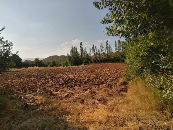 Çaylı Köyü Turhal Satılık Tarla |  3420M2 1.800.000Tl Resim-1