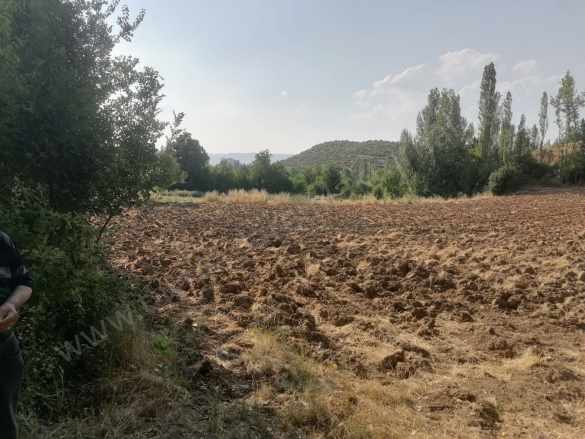 Su Kanalı Yanında Satılık Tarla Turhal Çaylı Köyü