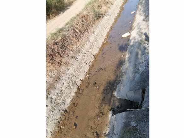 Su Kanalı Yanında Satılık Tarla Turhal Çaylı Köyü