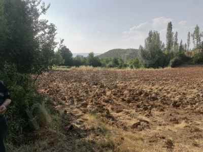 Field For Sale in  Turkey, Tokat, Turhal, Cayli Koyu , 3420 m2