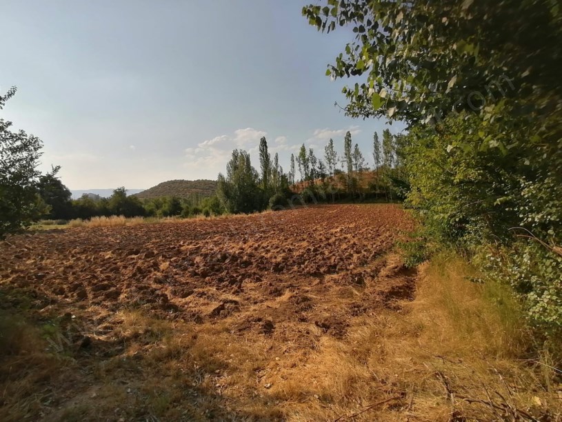 SU KANALI YANINDA SATILIK TARLA  
