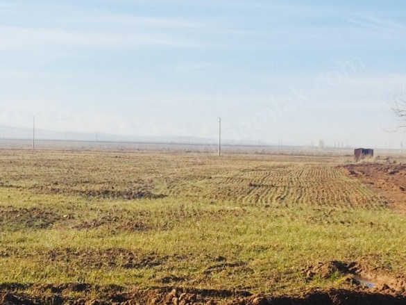 Orhaniye Mah. Ereğli Satılık Tarla |  3769M2 5.000.000Tl Resim-1