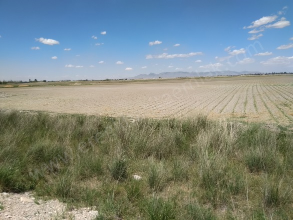 Taşağıl Mah. Ereğli Satılık Tarla |  104687M2 250.000Tl Resim-2