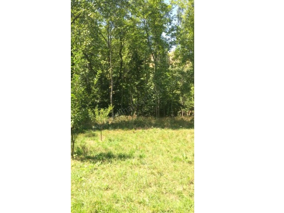 Bahçelievler Mah. Halkapınar Satılık Bahçe |  835M2 2.100.000Tl Resim-2