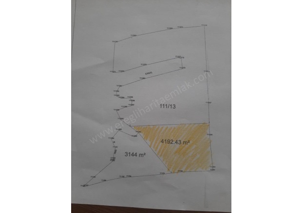 Gökçeyazı Mah. Ereğli Satılık Tarla |  4192M2 2.000.000Tl Resim-1