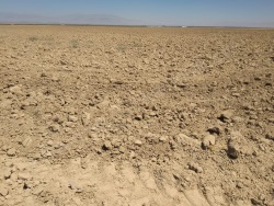 Ereğli Adabağ Mah. Satılık Tarla 9730 M2