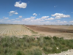 Ereğli Taşağıl Mah. Kiralık Bağ 40000 M2