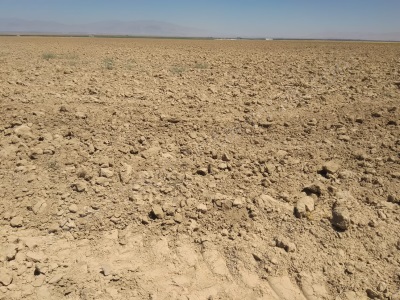 Karaman Yoluna Sıfır Verimli Arazi Satılık Tarla Ereğli Adabağ Mah