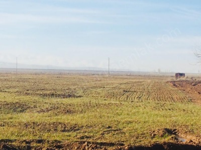 Yola Sıfır İmarı Yakın Zamanda Gelecek Satılık Tarla Ereğli Orhaniye Mah