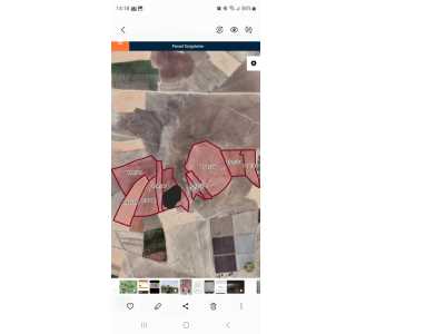 Kiralık Bağ 532 Dekar Kuyulu Tarla Ereğli Kutören Mah