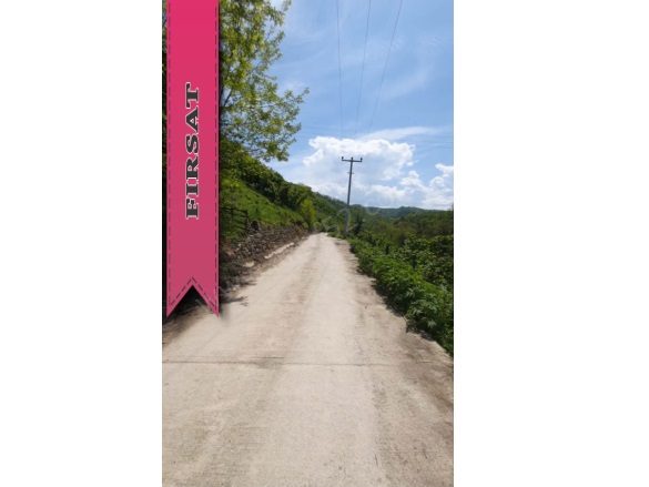 Yıldızlı Mah. Altınordu Satılık Fındık Bahçesi |  1321M2 2.100.000Tl Resim-1