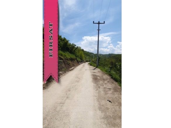 Yıldızlı Mah. Altınordu Satılık Fındık Bahçesi |  1321M2 2.100.000Tl Resim-2