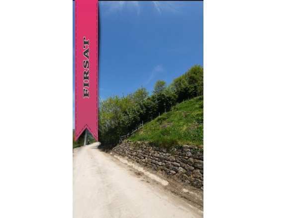 Yıldızlı Mah. Altınordu Satılık Fındık Bahçesi |  1321M2 2.100.000Tl Resim-3