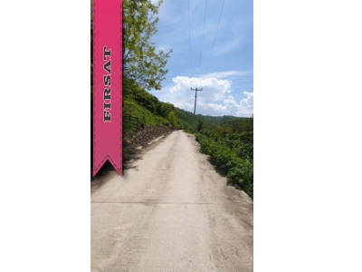 Satılık Fındık Bahçesi – Ordu Altınordu Yıldızlı Mahallesi Mah