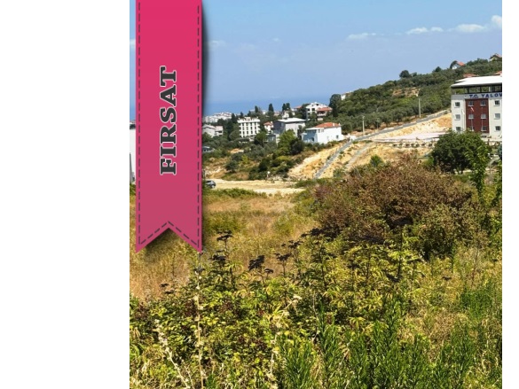 Çamlık Mah. Çınarcık Satılık Arsa |  368M2 8.900.000Tl İmarlı  Resim-2