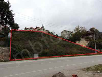 Land For Sale in  Turkey, Yalova, Cinarcik, Harmanlar neighborhood , 1398 m2