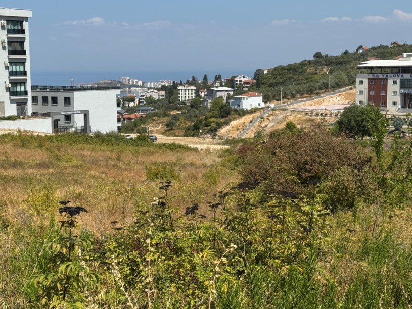 DENİZ DOĞA MANZARALI ÜNİVERSİTE KARŞISI ANA YOLA CEPHELİ TİCARİ+KONUT İMARLI KUPON ARSA