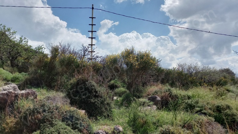 Turgutreis Mah. Bodrum Satılık Arsa |  1000M2 45.000.000Tl İmarlı  Resim-4