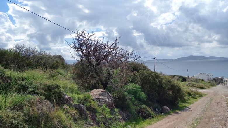 Turgutreis Mah. Bodrum Satılık Arsa |  1000M2 45.000.000Tl İmarlı  Resim-5