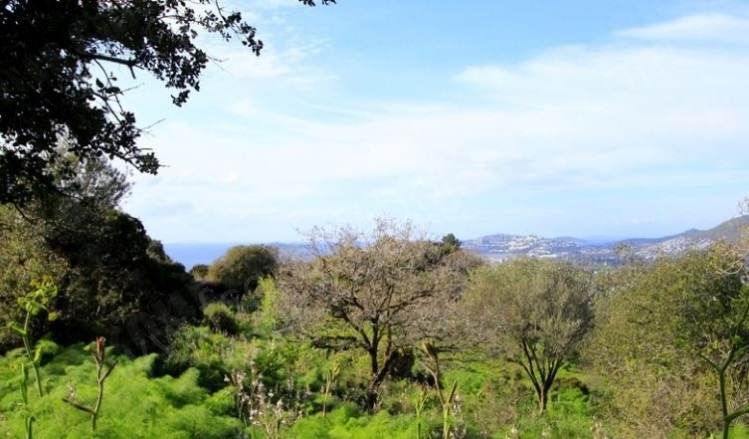 Karabağ Mah. Bodrum Satılık Tarla |  4900M2 70.000.000Tl İmarlı  Resim-1