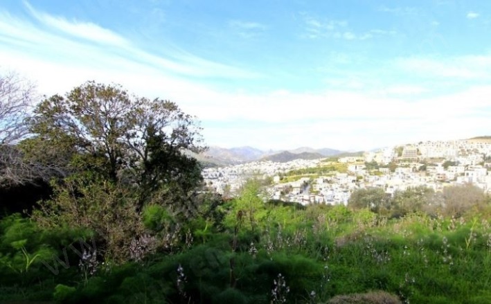 Karabağ Mah. Bodrum Satılık Tarla |  4900M2 70.000.000Tl İmarlı  Resim-2