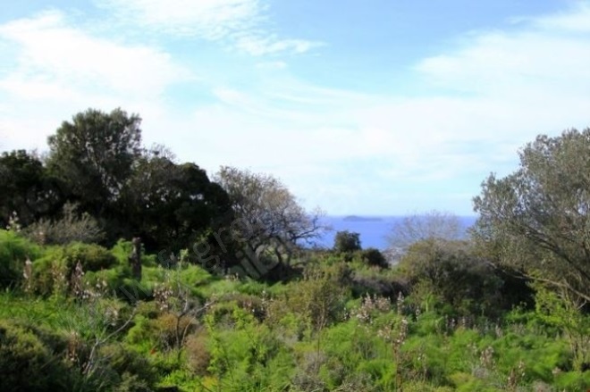 Karabağ Mah. Bodrum Satılık Tarla |  4900M2 70.000.000Tl İmarlı  Resim-3