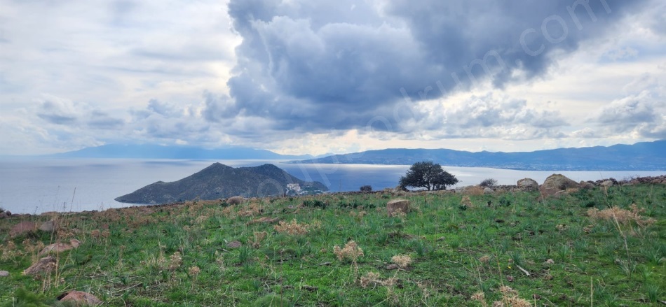 Akyarlar Mah. Bodrum Satılık Tarla |  18800M2 45.000.000Tl Resim-1