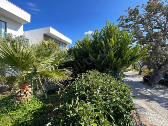 Eşyasız 2+1 Evcil Hayvan Dostu Bahçeli Giriş Katı Kiralık Daire Bodrum Gümüşlük Mah Fc Group