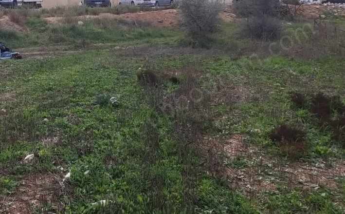 Fc Group Tan Mumculardan Yeni Köy (Karaova) Satılık Tarla Bodrum Mumcular Mah