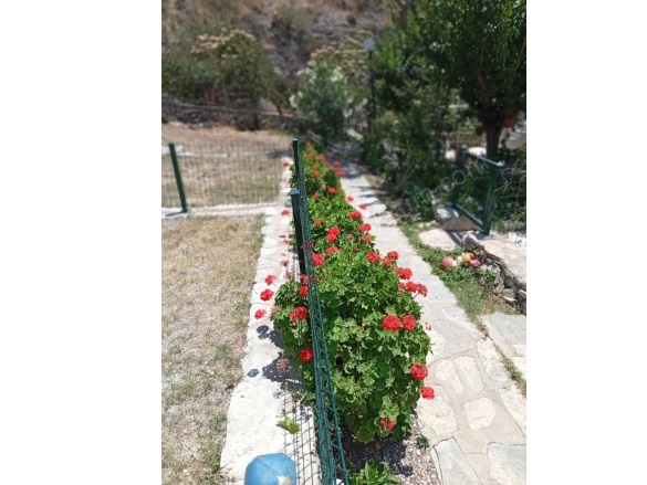 Akyarlar Mah. Bodrum Kiralık Daire |  1 Oda | 27M2 Aylık 20.000Tl Eşyalı  | Zemin Kat | Klima | 1 Banyo | 1 Yatak Odası Resim-5