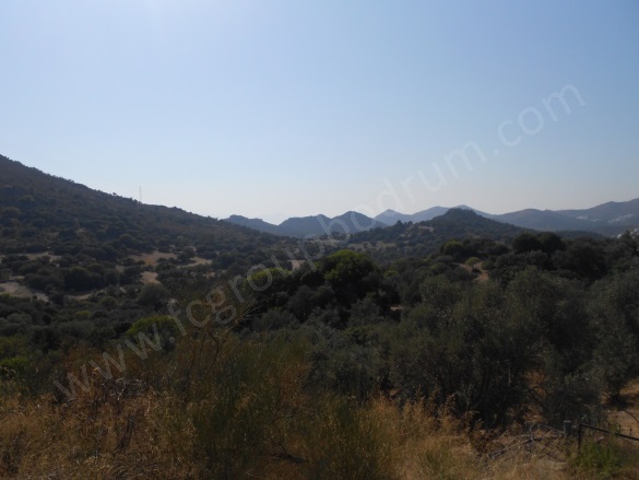 İslamhaneleri Mah. Bodrum Satılık Tarla |  23970M2 42.500.000Tl Resim-2