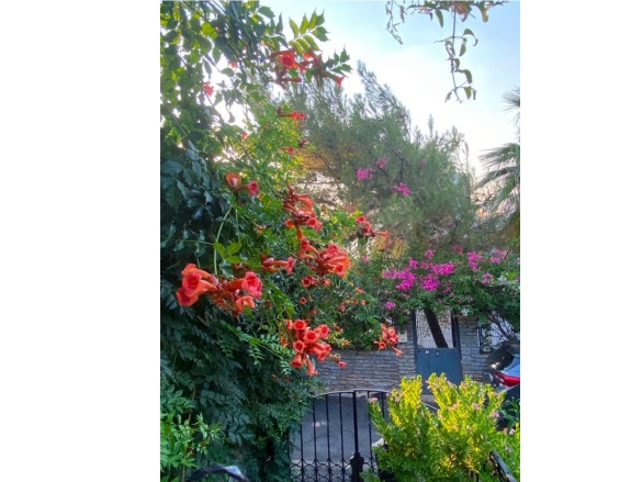 Torba Mah. Bodrum Satılık Villa |  5+3 Oda | 438M2 83.000.000Tl  Krediye Uygun  | Villa Ve Müstakil | Isı Pompası | 3 Banyo | 4 Yatak Odası Resim-4