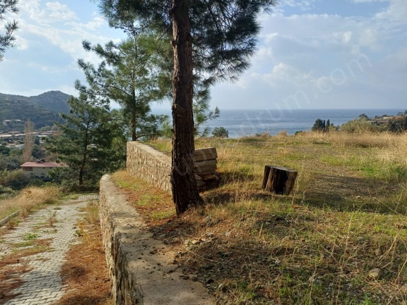 Mazıköy Mah. Bodrum Satılık Tarla |  1751M2 29.500.000Tl Resim-3