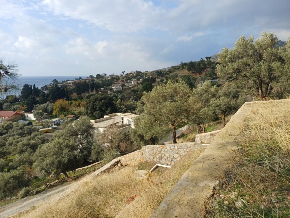 Mazıköy Mah. Bodrum Satılık Tarla |  1751M2 29.500.000Tl Resim-5