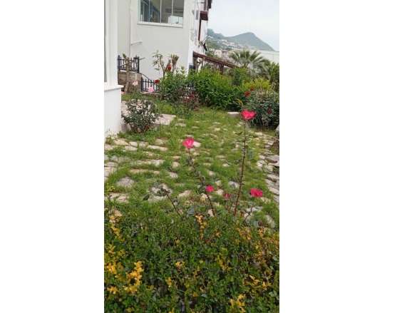 Karabağ Mah. Bodrum Kiralık Daire |  2+1 Oda | 88M2 Yıllık 48.000Tl Eşyalı  | Bahçe Katı | Klima | 1 Banyo | 2 Yatak Odası Resim-2