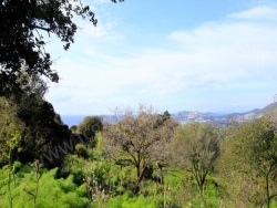 Bodrum Karabağ Mah. Satılık Tarla 4900 M2