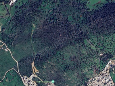 Satılık Tarla Muğla Bodrum İslamhaneleri Mah Fc Group