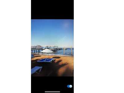 Apartment For Daily Rent in  Turkey, Mugla, Bodrum, Peksimet neighborhood , 1+1 Room