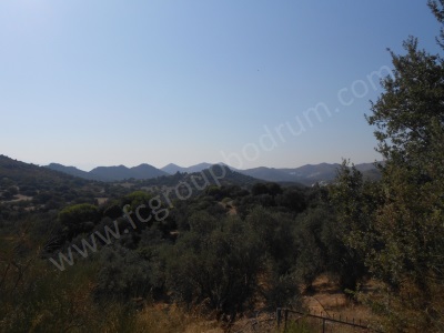 Fc Group Tan Fırsat Fiyatlı Satılık Tarla Bodrum İslamhaneleri Mah