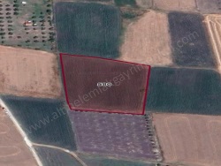 Nilüfer Çatalağıl Mah. Satılık Tarla 6100 M2
