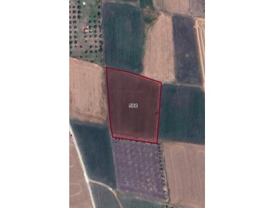 Çatalağılda Satılık Tarla Yatırımlık Nilüfer Çatalağıl Mah