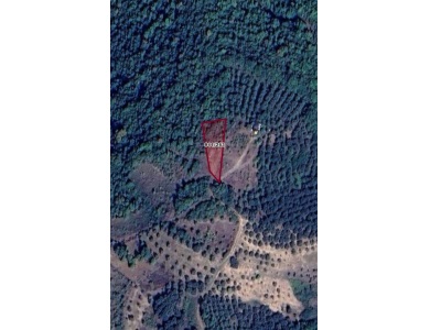 İznik Derbentte Göl Manzaralı Hobi Bahçesi Satılık Bağ Derbent Mah