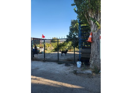 Menemen İğnedere Mah Yola Sıfır 848 M2 Elektirik Ve Suyu Olan Meyve Bahçesi Satılık Bağ