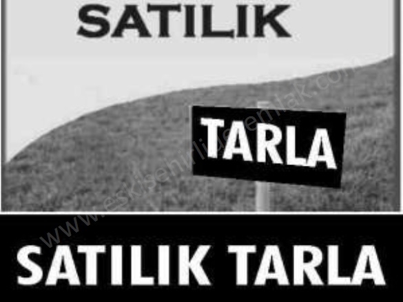 Keskin Mah. Tepebaşı Satılık Tarla |  21000M2 23.000.000Tl Resim-3