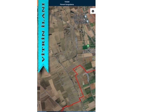 Keskin Mah. Tepebaşı Satılık Tarla |  4780M2 10.000.000Tl Resim-2
