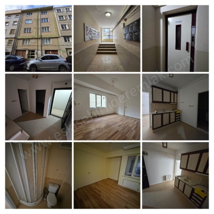 Yenibağlar Mah. Tepebaşı Kiralık Daire |  1+1 Oda | 65M2 Aylık 13.500Tl | 1. Kat | Doğalgaz(Kombi) | 1 Banyo | 1 Yatak Odası Resim-1